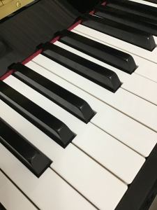 的演奏视频