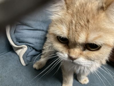 199****9849的钢琴谱