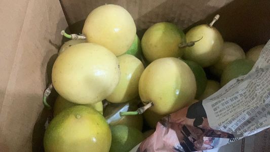 我不會彈琴的个人空间