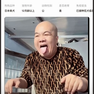 金玲玲的钢琴谱
