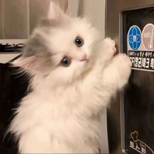 雅的个人空间