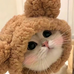 180****4486的钢琴谱