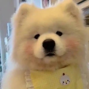 曦的钢琴谱