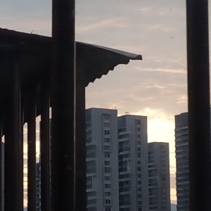 月明星稀的钢琴谱