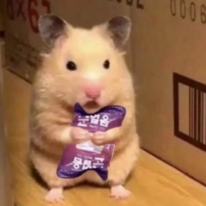 朵朵的个人空间