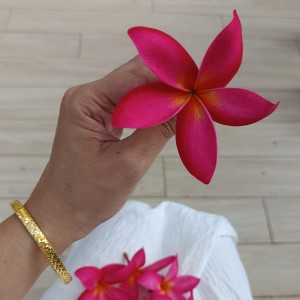 夏天的风的个人空间