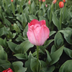 192****1468的个人空间