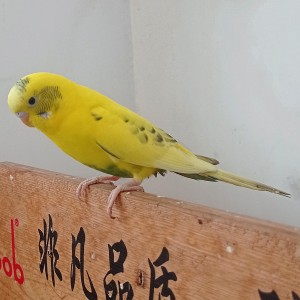 STQ的个人空间