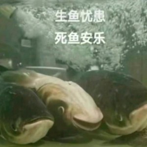 99的钢琴谱