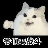 的演奏视频