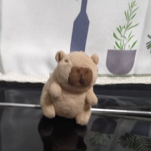 我没有名字的个人空间