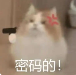 波斯语波斯猫的钢琴谱