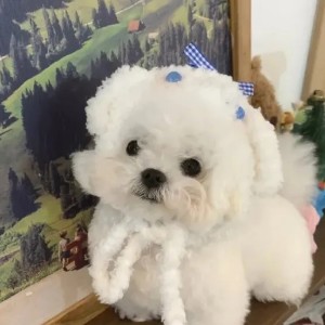 Angth的个人空间