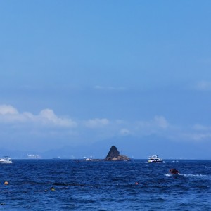 爱学琴的小风的个人空间