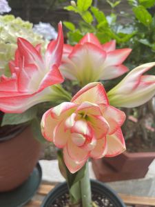 超爱蒜轩的个人空间