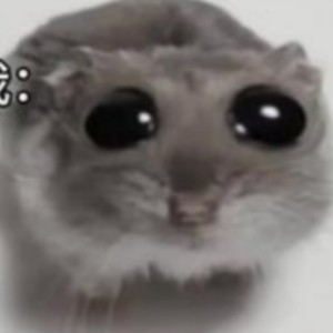 的演奏视频