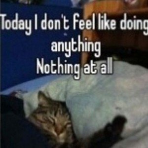 John Smith的钢琴谱