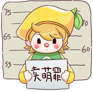 叶小舟604的钢琴谱
