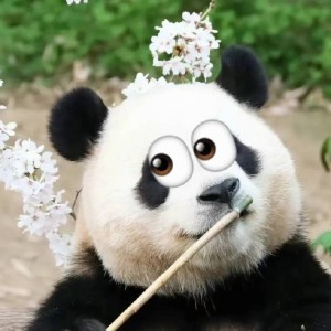 2级B组-铃之歌的演奏视频