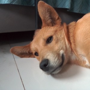 南安的个人空间