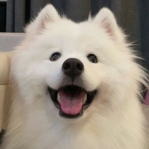 是初一呀的个人空间