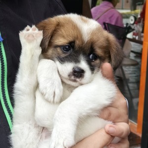 手速之“癫”的个人空间