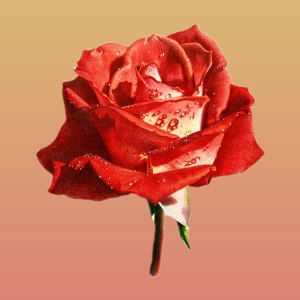 186****1489的钢琴谱