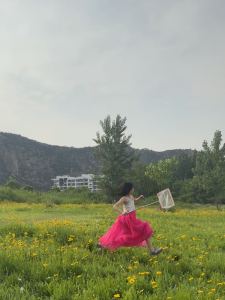 董晓芙的钢琴谱