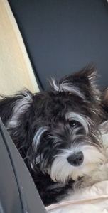 166****3667的个人空间