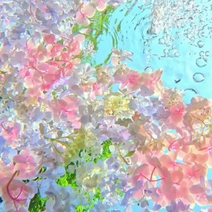 ……嗨喽啊虫友们的个人空间