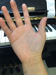 弹钢琴的小地主的钢琴谱