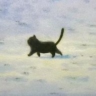 川❄️的钢琴谱