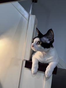 130****1385的个人空间