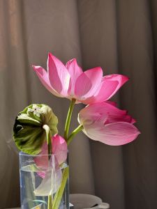 139****3482的个人空间