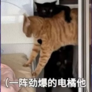 [晓] 航的钢琴谱