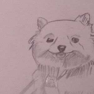 一个东西的钢琴谱