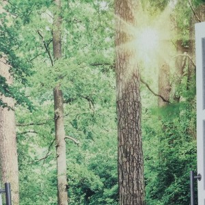 心心的个人空间