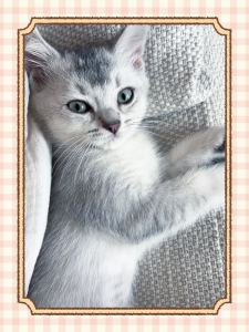 186 ~~~~7890的个人空间