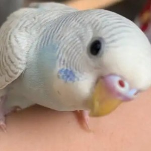 香菜饺子的个人空间