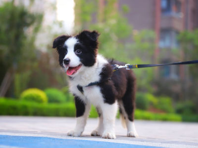 阳光每一天的个人空间