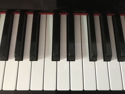 米缸里的瓢猫粉