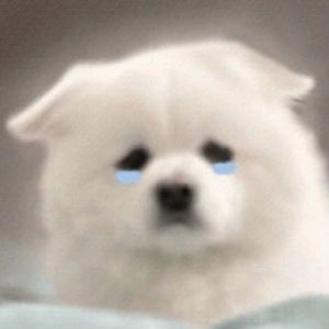 伤心小白菜的个人空间