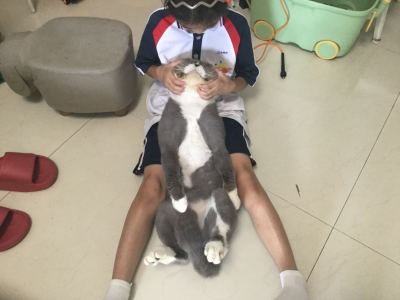 猫名“小肥嘟”的钢琴谱