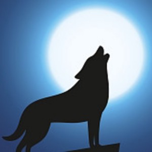 [白狼联队]夜灵的钢琴谱