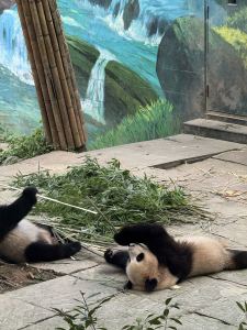 159****4537的钢琴谱