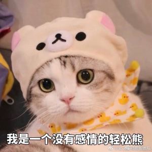 小海马的个人空间