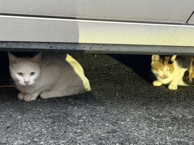 爱喝蜜雪的苏的个人空间