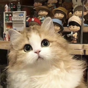 桃子好甜的个人空间