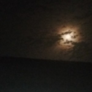 就忘了吧的钢琴谱