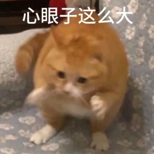 嗨～的钢琴谱